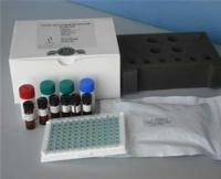 低促销兔血浆α颗粒膜蛋白(GMP-140)ELISA Kit价格
