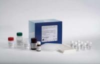 免费代测猴白介素6（IL-6）ELISA试剂盒价格