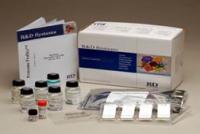 鸡白介素17(IL-17)ELISA试剂盒价格，免费代测(IL-17)elisa试剂盒