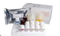 小鼠细胞色素氧化酶(CC0)ELISA Kit 价格，现货elisa试剂盒说明书