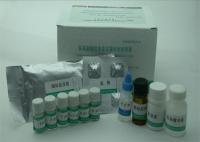 全国供应犬5羟色胺（5-HT）ELISA试剂盒价格