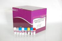 豚鼠白介素6（IL-6）ELISA试剂盒说明书 