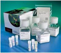 特价促销猪单核细胞增多性李斯特菌素O((LLO)ELISA Kit价格