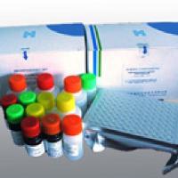  批发犬白介素8（IL-8）ELISA试剂盒价格