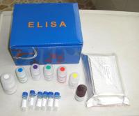 人晚期糖基化终末产物(AGEs)ELISA Kit