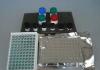 猴子睾酮(T)ELISA检测试剂盒价格，北京elisa试剂盒