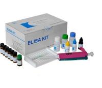 猪脂联素(ADP)ELISA试剂盒说明书