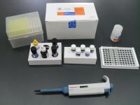  批发鸭白介素6（IL-6）ELISA试剂盒价格