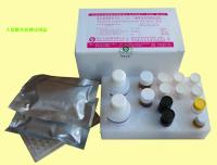 兔子白介素9(IL-9)ELISA试剂盒北京促销
