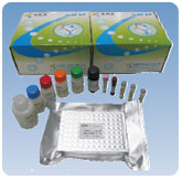热销产品鸭主要组织相容性复合体（MHC）ELISA试剂盒报价