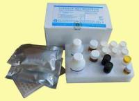 猴子甲状旁腺激素(PTH)ELISA检测试剂盒说明书