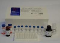 进口代测兔子基质金属蛋白酶4(MMP-4)ELISA Kit价格