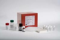 丝氨酸/苏氨酸激酶4(STK4)试剂盒说明书
