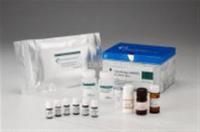 全国供应鸡白痢抗体检测（PD）ELISA试剂盒价格
