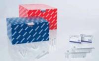 Qiagen 12863 报价，CompactPrep Plasmid Maxi Kit (25)