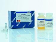 大鼠半胱天冬蛋白酶3检测试剂盒价格