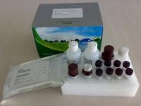 猪病毒A(FLU A)ELISA试剂盒 产品图片