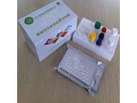 小鼠ELISA试剂盒,小鼠白介素9（ IL-9 ）ELISA检测试剂盒 产品图片