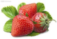 草莓粉 果粉 水溶 食品固体饮料压片代工