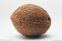 椰子提取物    椰子粉