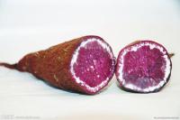 紫薯粉膳食纤维粉
