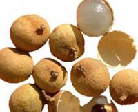 龙眼肉提取物粉