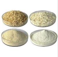 海藻胶产品图片