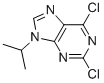 2,6-DICHLORO-9-ISOPROPYL-9H-PURINE