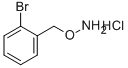O-(2-Bromo-benzyl)hydroxylamine hydrochloride  