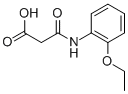 3-(2-ethoxyanilino)-3-oxopropanoic acid