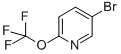 5-Bromo-2-trifluoromethoxypyridine