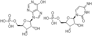 Polyinosinic acid-polycytidylic acid(Poly I:C)