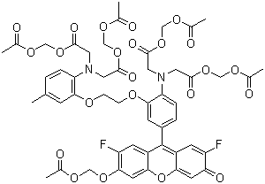 钙荧光探针Fluo-4, AM（5mM 无水DMSO溶液）