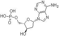 2'-Deoxyadenosine-5'-Monophosphate