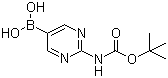 [2-[(叔丁氧羰基)氨基]嘧啶-5-基]硼酸  883231-25-2  95%  250mg